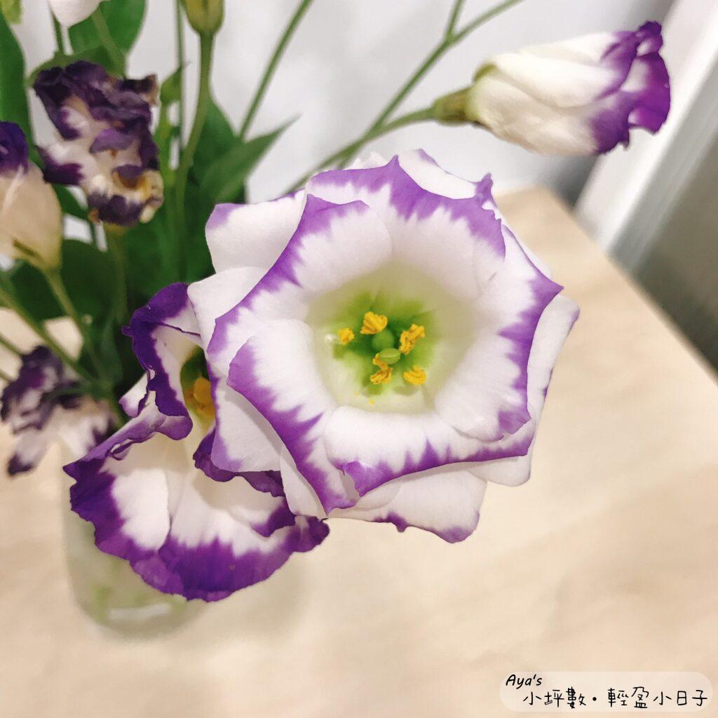 美麗的紫色桔梗花花蕊