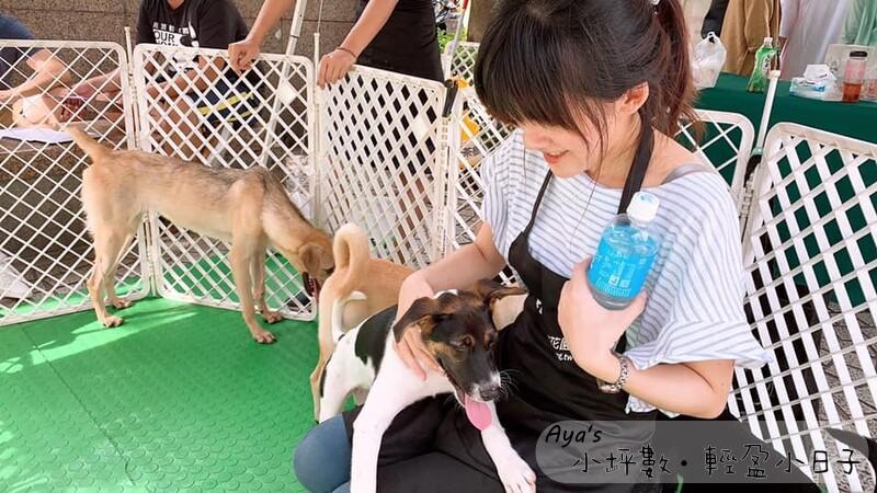 流浪動物花園 送養會場志工