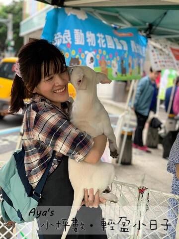 流浪動物花園 送養會場志工